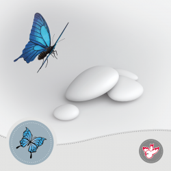 Karton-Spender 2/0, FSC