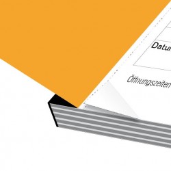 Devis und Ausmass Buch, Witzig Druck AG