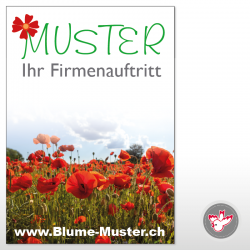 Kleber drucken, Witzig Druck AG