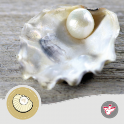 Kuverts perlglanz, Witzig Druck AG