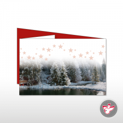 Weihachten See Sterne Tannen Schnee Brücke Christmas holidays tree snow bridge star