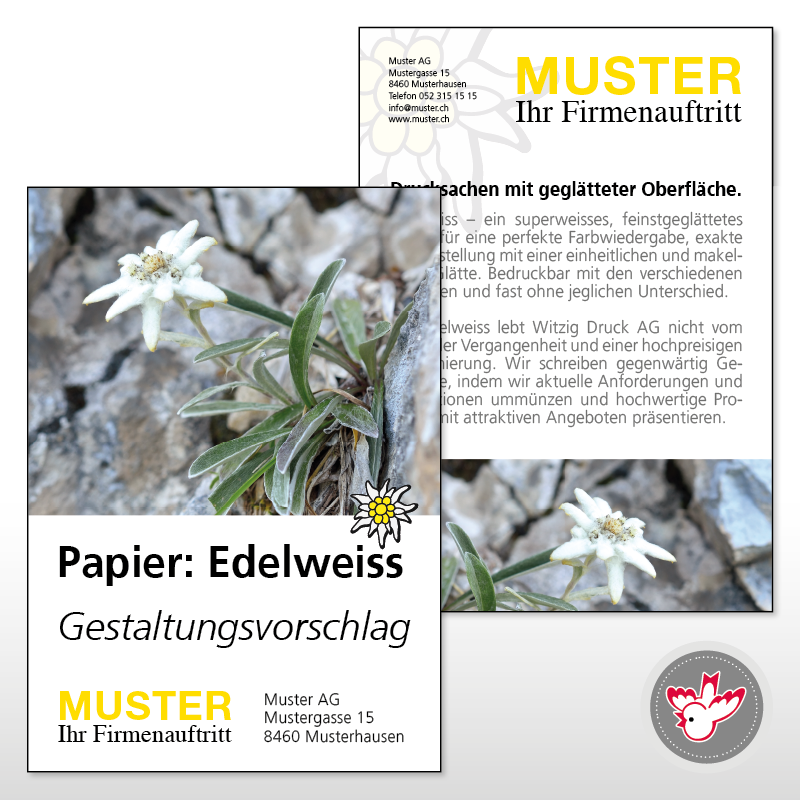 Flyer, Grusskarte, Empfehlungskarte, FSC, Promoost, Streuwerbung