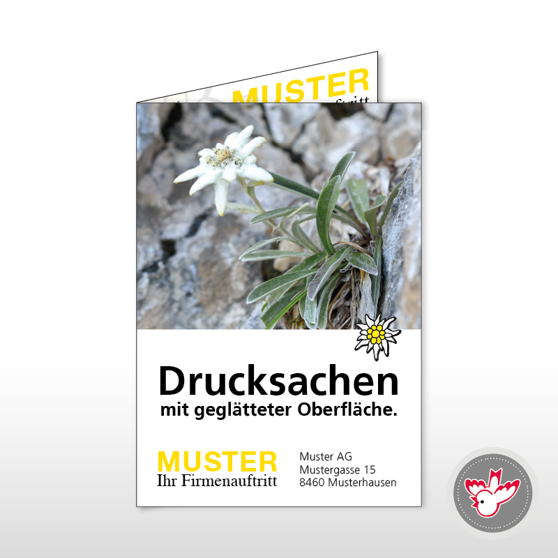 Karten, Witzig Druck AG