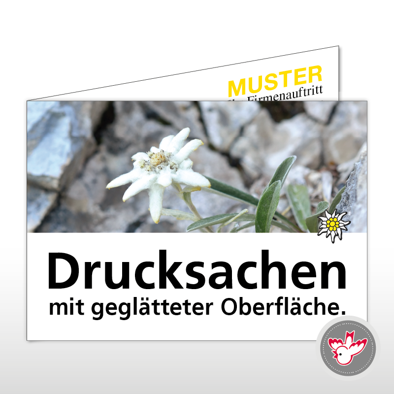 Karten drucken, Witzig Druck AG