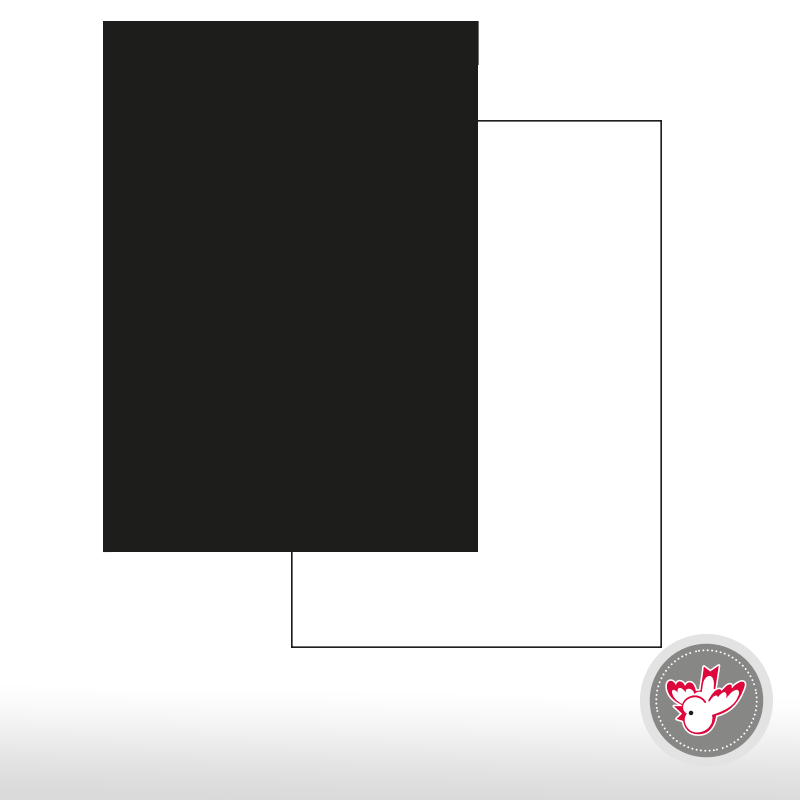 Karton schwarz weiss matt A4, FSC, Witzig Druck AG