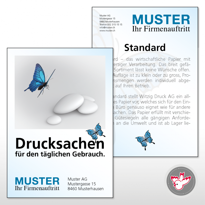 Flyer Druckerei, Witzig Druck AG