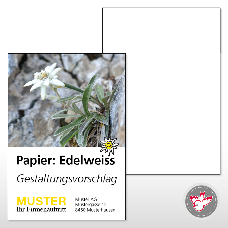 Karte A5, 4/0 Edelweiss 300 g/m², FSC