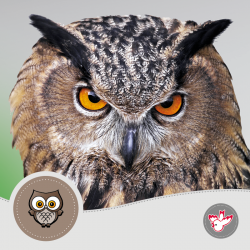 Briefpapier für höchste Ansprüche, Witzig Druck AG