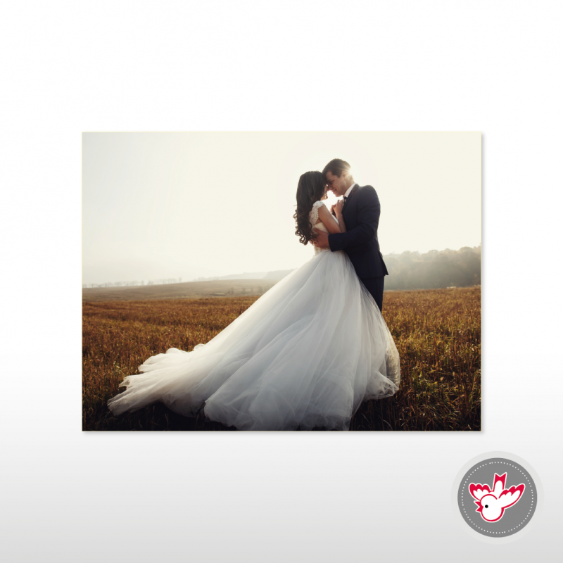 Hochzeitsfoto, Witzig Druck AG