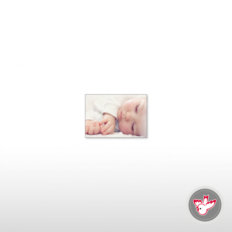 Bild, Witzig Druck AG