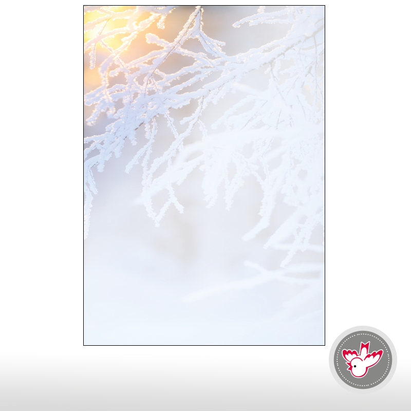 Weihnachtspapier drucken, Witzig Druck AG