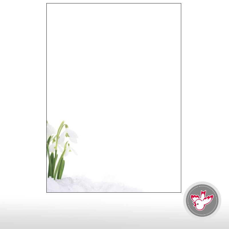 Weihnachtspapier drucken, Witzig Druck AG