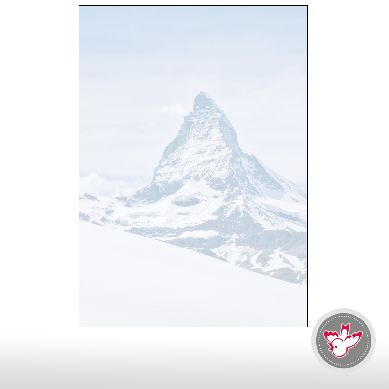 Weihnachtspapier drucken, Witzig Druck AG