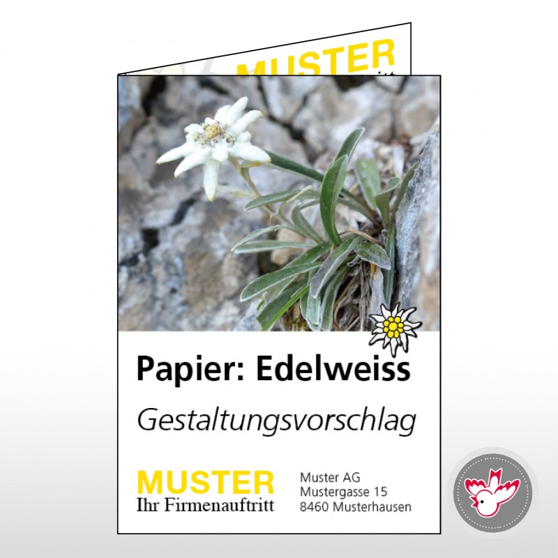 Flyer drucken, Witzig Druck AG