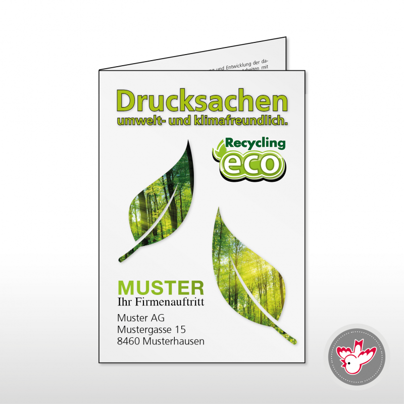 Flyer drucken, Witzig Druck AG