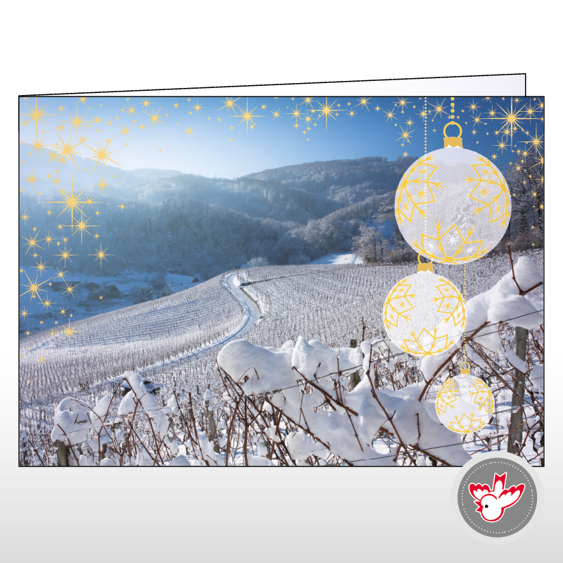 Weihnachtskarten drucken, Witzig Druck AG