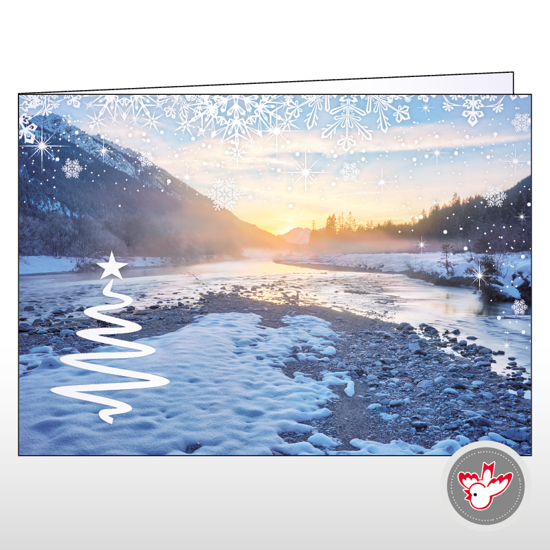 Weihnachtskarten drucken, Witzig Druck AG