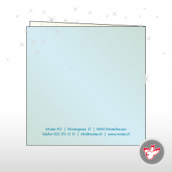 Weihnachtsbaum Geschenk Tanne Christmas Christmastree