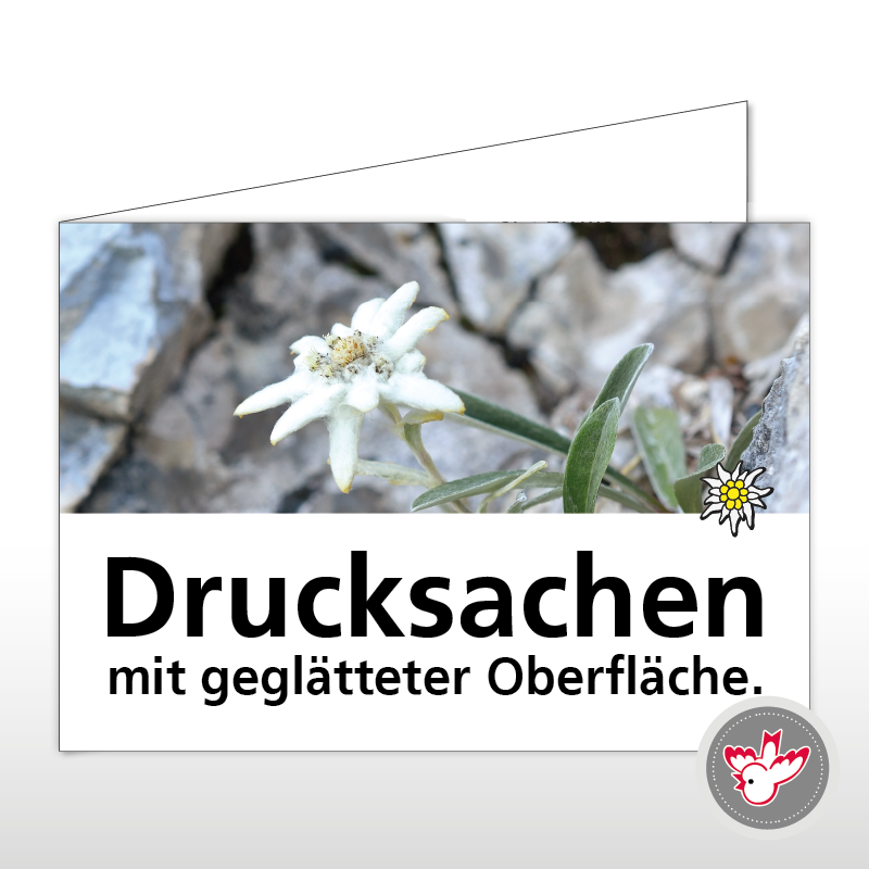 Karten drucken, Witzig Druck AG