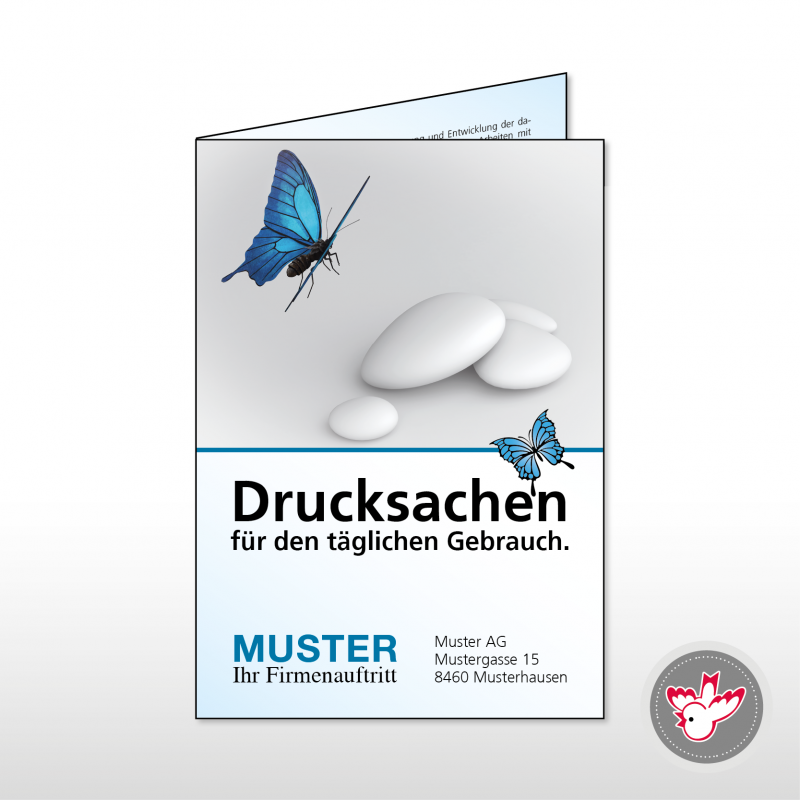 Flyer Druckerei, Witzig Druck AG