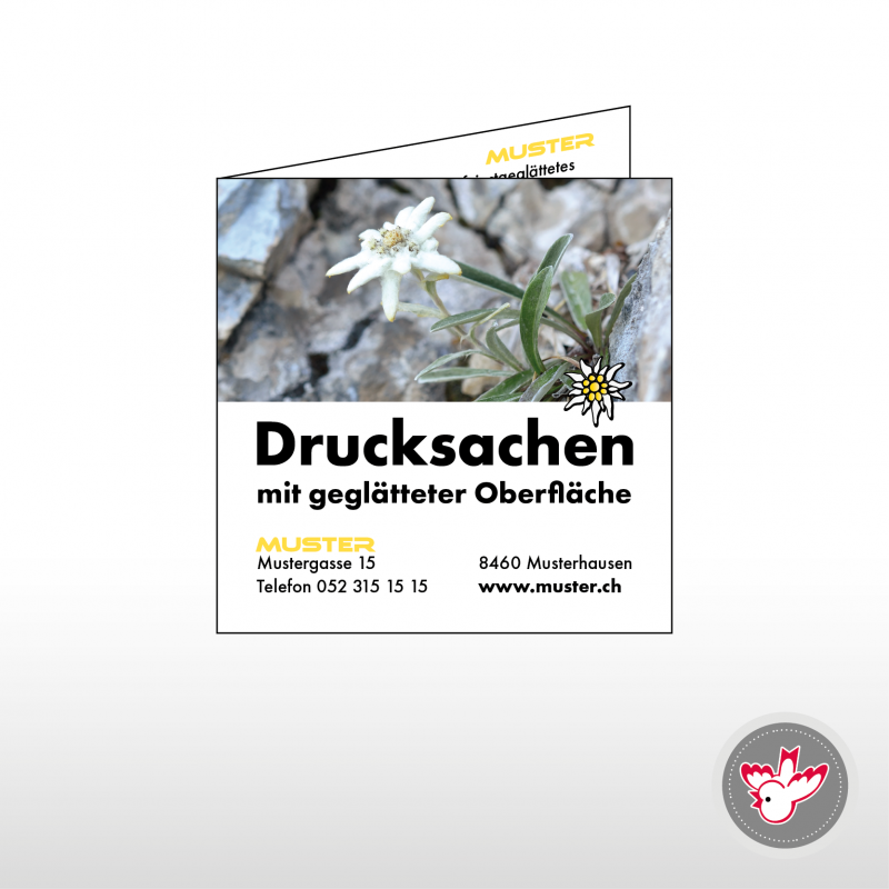 Karten drucken, Witzig Druck AG