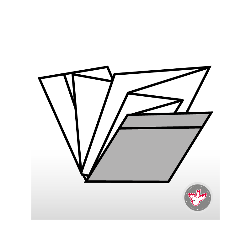 Plan gefalzt, Witzig Druck AG