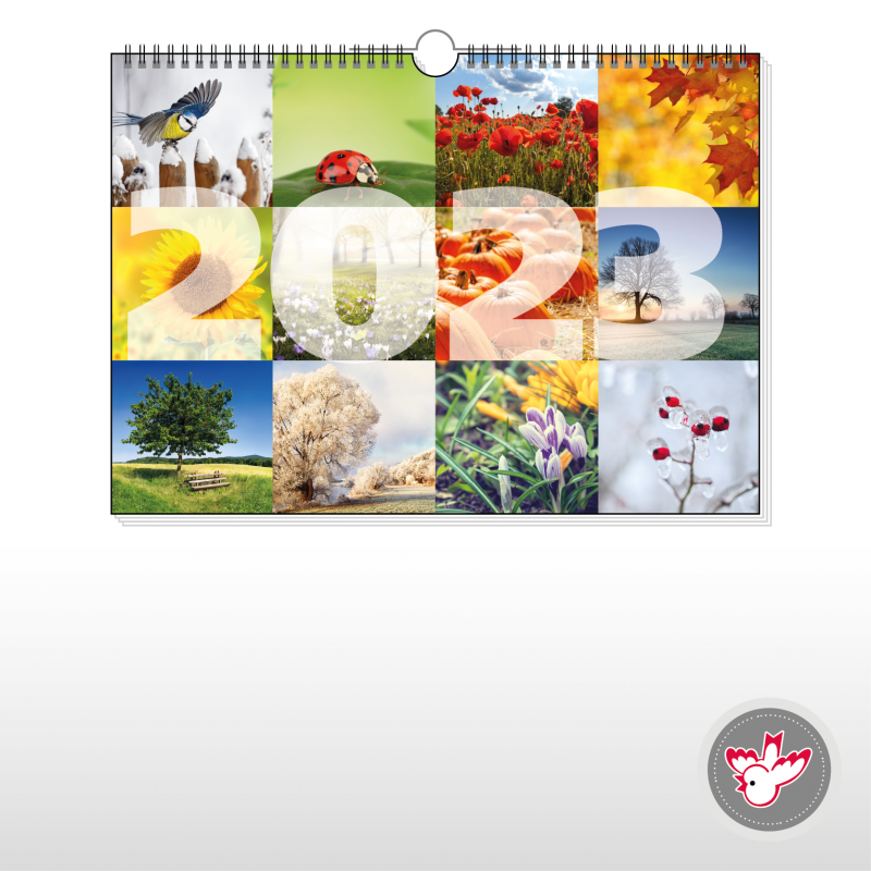 Kalender drucken, Witzig Druck AG