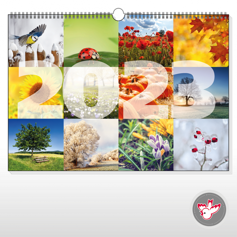Kalender drucken, Witzig Druck AG