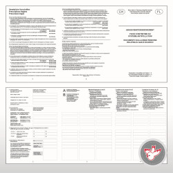 Abgas-Wartungsdokument Benzin, Witzig Druck AG