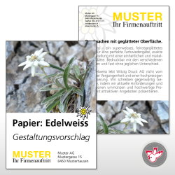 Papier Edelweiss Witzig Druck AG