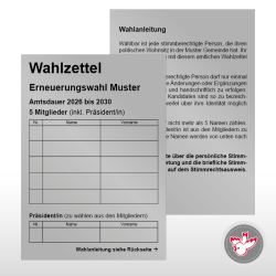 Stimmzettel Wahlzettel drucken, Witzig Druck AG