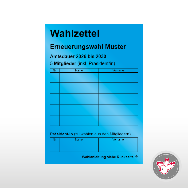 Stimmzettel Wahlzettel drucken, Witzig Druck AG