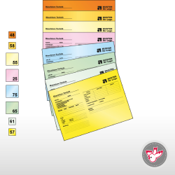 Auftragsmappe, Werkstattmappen, Vertikalmappe, Einlegemappe, Witzig Druck AG, drucken